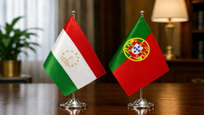 Acceptance of the copy of the credentials of the Ambassador of the Portuguese Republic